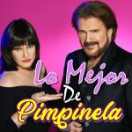 album image Mañana voy a empezar Lo Mejor de Pimpinela