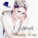 album image Aşkım Aşkım Mozaik