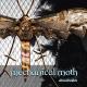 Mechanical Moth - Darkness Eternal