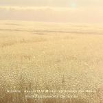 album image Adagio for Violin, Strings and Organ in G Minor Albinoni: Adagio in G minor for Strings and Organ - Single