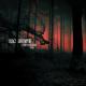 Black Sun Empire feat. Thomas Oliver, Youthstar - All is Lost