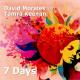 David Morales & Tamra Keenan - 7 Days (John Dahlback Remix) - http://soundvor.ru/
