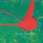 album image Flashed Junk Mind Sadnecessary