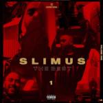 album image D.L.S. feat. Slim (CENTR) - Если честно (2011) The Best