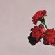 John Legend - Made to Love