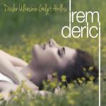 album image Dushler Ulkesinin Gelgit Akillisi 2013 Düşler Ülkesinin Gelgit Akıllısı - Single