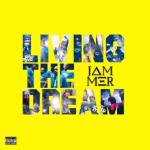 album image Fast Life Living the Dream