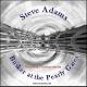 Steve Adams - Testosterone