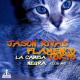 Jason Rivas, Flamenco Tokyo - La Camisa Negra
