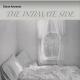 Diane Armesto - I Don't Want to Love You (Radio Edit)