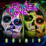 album image I Love Heavy Metal Spirit