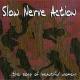 Slow Nerve Action - Bisexual