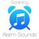 Steven Cravis - Plucked Harmonics Ringtone