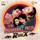 Цветок и пламя / Phool Aur Angaar - Hum Teri Mohabbat Mein