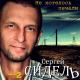 Сергей Сидель - Ночные фонари