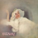 album image Sev kardesim (1980) Honki Ponki