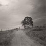 album image Here with Me Here with Me - Single