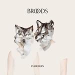 album image Bridges (basemp3.ru) Evergreen