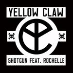 album image shot gun (dub step) Shotgun (feat. Rochelle) - Single