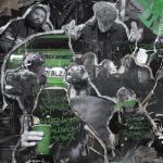 album image Ниоткуда Ниоткуда - Single
