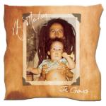 album image One More Cup Of Coffe (Album Version) Mr. Marley