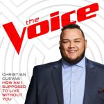 album image How Am I Supposed To Live Without You (The Voice Performance)