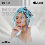 album image Nowhere To Hide NYE 2023 (DJ Mix)
