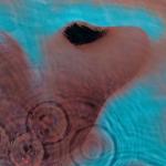 album image A Pillow of Winds Meddle