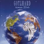 album image What I Like Human Zoo