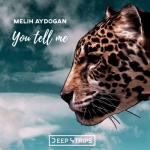 album image Dua Lipa, Coldplay, Martin Garrix & Kygo You Tell Me - Single