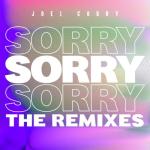 album image Sorry (James Hype Extended Mix) Sorry (The Remixes) - EP