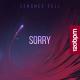 Zenshee Fell - Sorry (Bronster Bridge Remix)