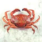 album image Slave Labor Mariachi El Bronx