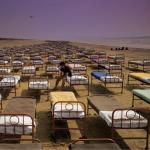 album image Learning To Fly A Momentary Lapse of Reason