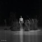 album image Cold Mine Cold Mine - Single