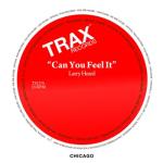 album image Shadow Of My Freedom (feat. Katerina Kovalenko) Can You Feel It - Single