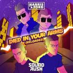 album image Died In Your Arms (Reloaded) Died In Your Arms (Reloaded) - Single