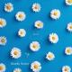 zyrex_ - _love_me_(bluefin_remix)_muzati.net