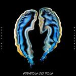 album image Ready To Fly Ready To Fly - Single