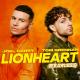 Joel Corry & Tom Grennan - Lionheart (Fearless) (Extended Mix)    ▂ ▃ ▅ ▆ █ The Best of Club / Dance ▁