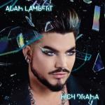 album image Holding Out for a Hero High Drama