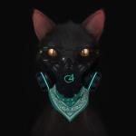 album image Gato de Noche Gato de Noche - Single