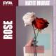 Hayit Murat - Rose (Original Mix)