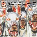 album image BRODIES BRODIES - Single