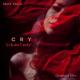 Aykan Emir - Cry (Original Mix)
