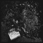 album image Тебя любить Пепел - EP