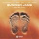 Blasterjaxx x Henri PFR x Jay Mason - Summer Jams (Henri PFR VIP Extended Mix)