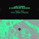 Luis Torres & Corporate Slackrs - Can't Hide (feat. Emma Zander)