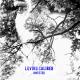 Loving Caliber feat. Lauren Dunn_audio - Invested
