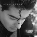 album image Tauro Con Leo Algo Mejor
